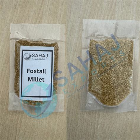 Indian Millet Manufacturer,Indian Millet Supplier, Exporter
