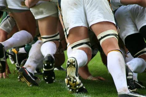 Rugby Animation 的图像结果