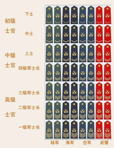 军改后，中国军队军衔等级排名一览表。 - 哔哩哔哩