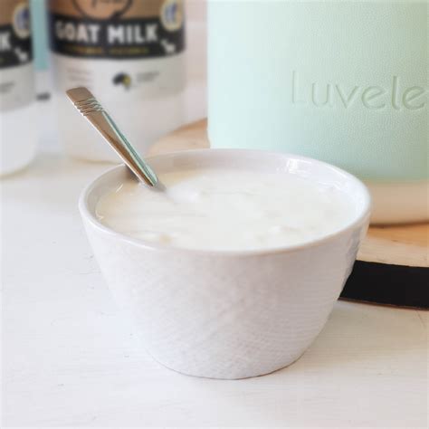 24 hour goat milk yogurt recipe for SCD & GAPS - Luvele AU