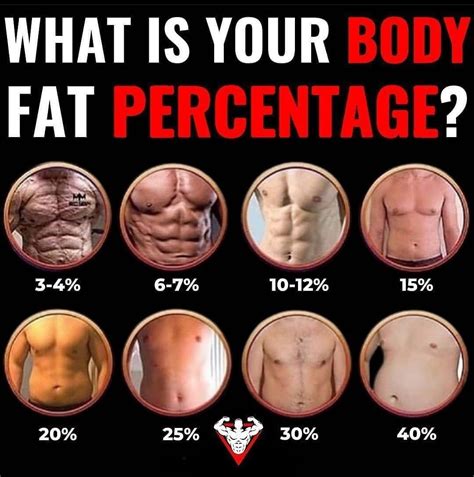 Body Fat Percentage Calculator Wrist at Samantha Sternberg blog