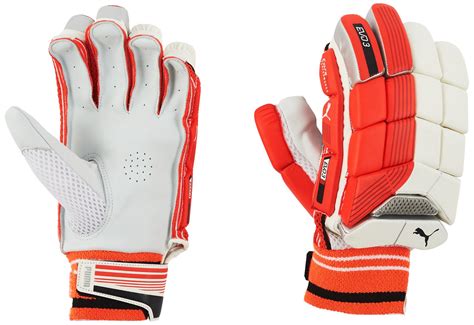 Puma EVO 3 Batting glove : Amazon.in: Sports, Fitness & Outdoors