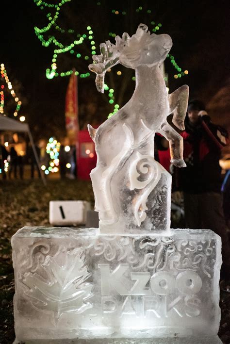 Tree Lighting Ceremony illuminates Bronson Park - mlive.com