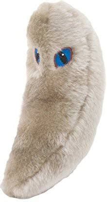 GIANT Microbes Toxoplasmosis (Toxoplasma Gondii) - 2 inch ...