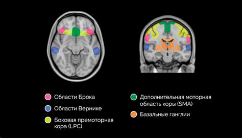Причины заикания (логоневроза) - у взрослых и детей