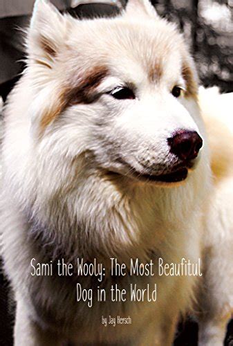 Sami Wooly: The Most Beautiful Dog In The World eBook: Hersch, Jay ...