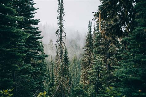 The 16 Most Haunted Places In Washington State - The Mandagies