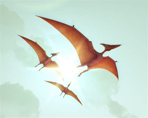 How Long Did Dinosaurs Actually Live? – The Nature Network