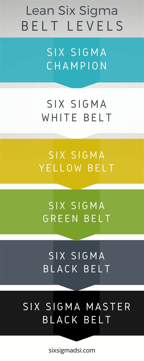 The Lean Six Sigma Certification Belt Order