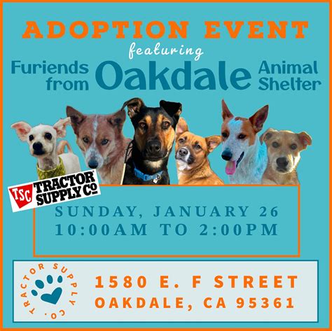 Oakdale Shelter Pet Alliance (@oakdaleshelterpetalliance) • Instagram photos and videos