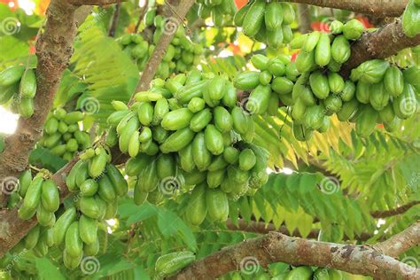 Image result for Just Increasing Function Graph