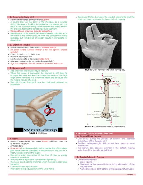SOLUTION: Human anatomy upper extremity bones and ligaments clinical ...
