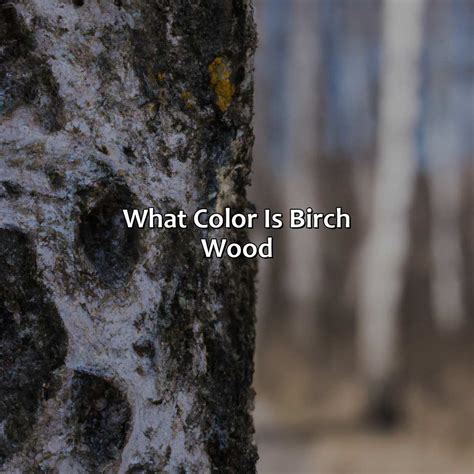 What Color Is Birch Wood - colorscombo.com