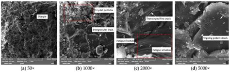 Experimental Study on the Creep Characteristics of Coal Measures ...