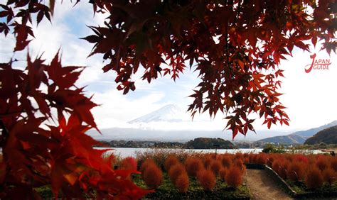 Kawaguchiko Natural Living Center - Japan Guide