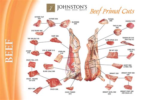 Beef Cuts Of Meat Butcher Chart - Minimalist Chart Design