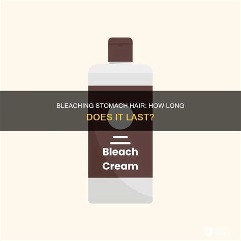 Bleaching Stomach Hair: How Long Does It Last? | ShunSalon