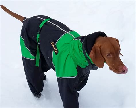 Full Body Large Breed Dog Snowsuit With Attached Boots | Dog clothes ...