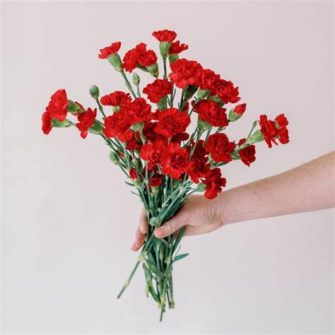 Red Carnation Flower Bouquet