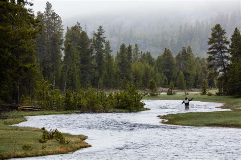 Yellowstone announces fee increases to fishing and boating permits; Additional revenue will ...