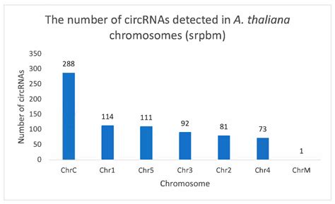 Profiling Plant circRNAs Provides Insights into the Expression of Plant ...