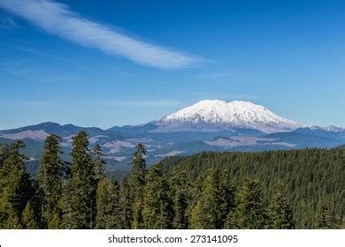 Washington 的图像结果