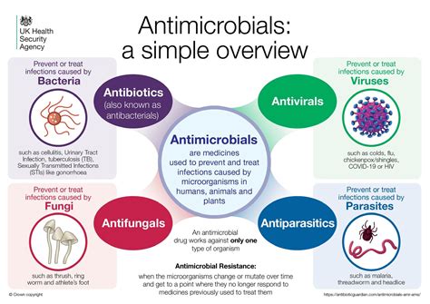What is antimicrobial resistance and why do we need to take action against it? – UK Health ...