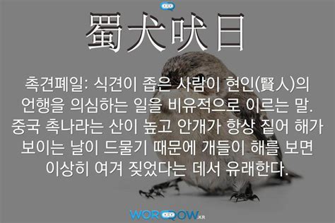 看到蜀犬吠日这一词的解释，好同情四川的狗狗们呀！_高清1080P在线观看平台_腾讯视频