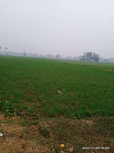 Land for Investment in Patna