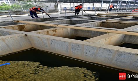 一种填埋场库底废水出水及液流状态的判断装置的制作方法