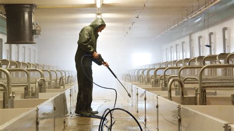 Entender la diarrea pre-destete