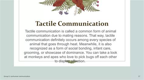 A Complete Glossary Of Nonhuman Love: Defining Digital Affection