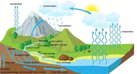 Stormwater Basics 的图像结果