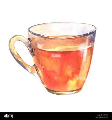 Glass cup of a black tea. Drink painting. Watercolor hand drawn ...