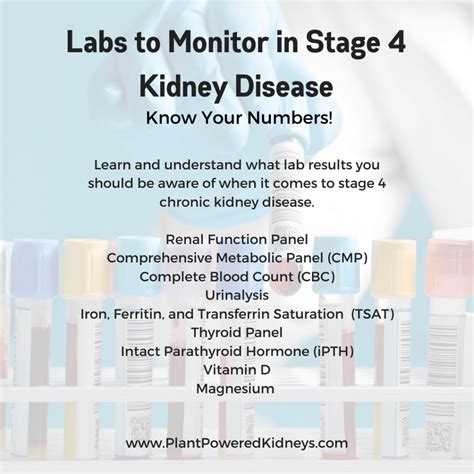 Stage 4 Kidney Disease: The Ultimate Guide - Plant-Powered Kidneys | Renal Diet For Kidney Patients