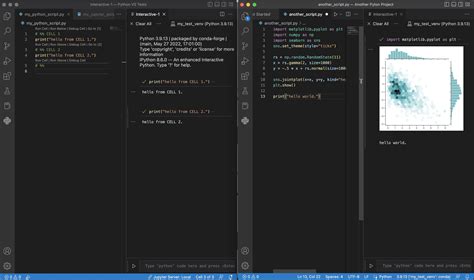 Image result for Connect Python with vs Code
