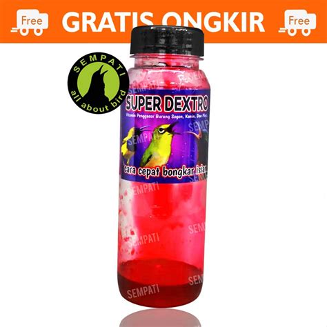 Merawat Konin Gacor Tanpa Doping, Bisa Kok! - Featured Image