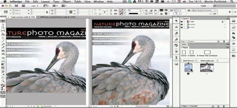 Adobe InDesign Features 的图像结果