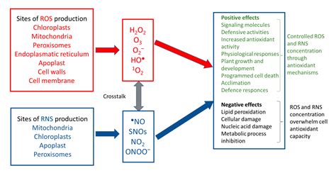 Potentially Toxic Elements: A Review on Their Soil Behavior and Plant ...