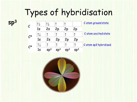 Image result for Hybridization Tutorials