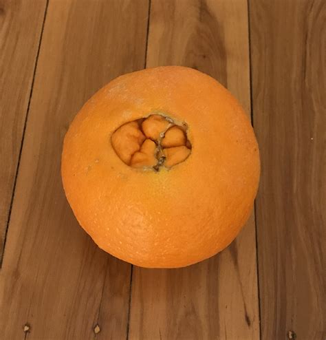 File:Navel orange.jpg - Wikimedia Commons