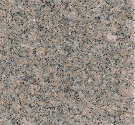 Coffee Brown Indian Granite in Gujarat Steel Grey Granite Supplier
