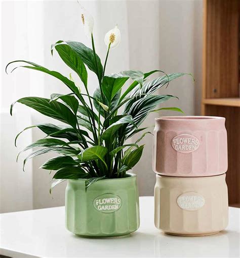 Pastel Ceramic Planters with Embossed Text – Round Tapered Flower Pots ...