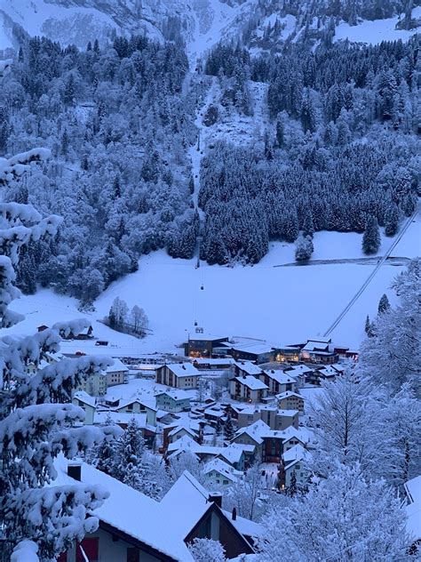 HOTEL WALDEGG - ADULTS ONLY (Engelberg) - Hotel Reviews, Photos, Rate ...