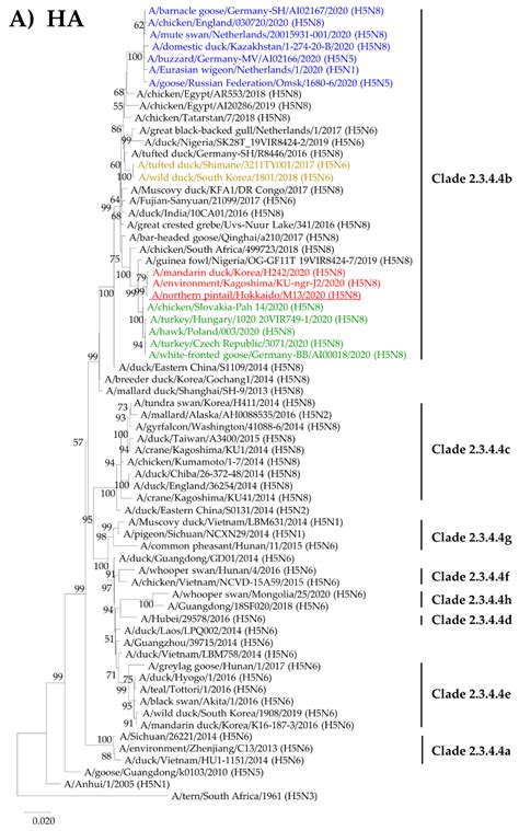 Re-Invasion of H5N8 High Pathogenicity Avian Influenza Virus Clade 2.3. ...