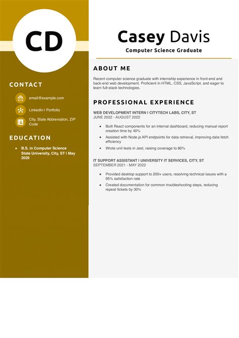 Image result for Example of Web Developer Resume