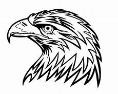 kinder malvorlagen adler adler malvorlage ausmalen malvorlagen ausmalbilder kinder malvorlagen adler adler malvorlage ausmalen malvorlagen ausmalbilder