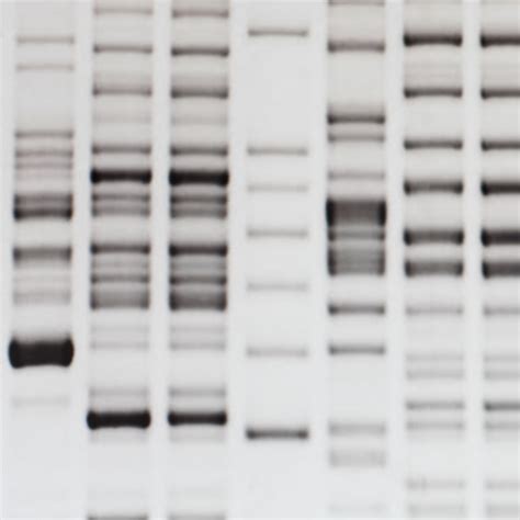 Molecular Biology Products