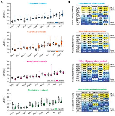 Systematic Identification of the Optimal Housekeeping Genes for ...