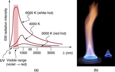 Radiation Example 的图像结果